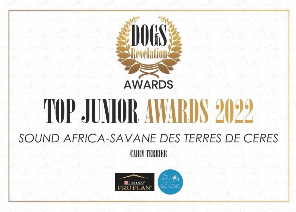 Des Terres De Cérès - Savane TOP junior Awards 2022 ! 