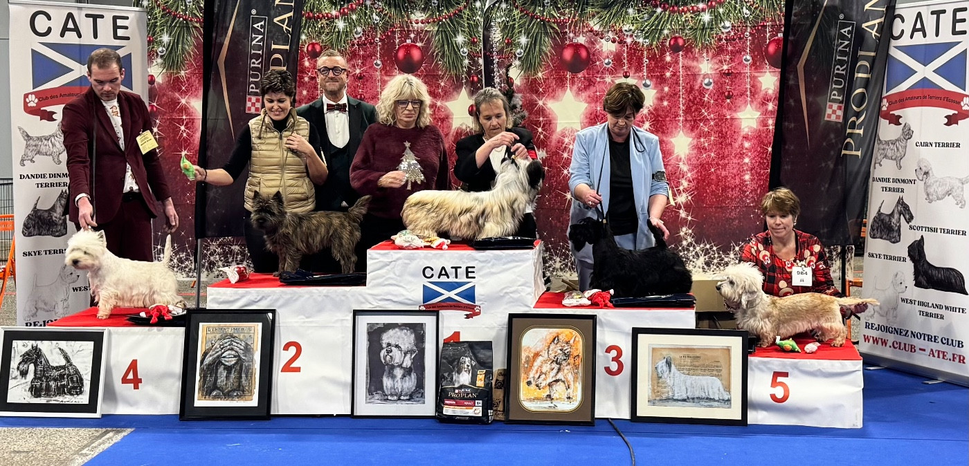 Des Terres De Cérès - 🏆 Meilleurs de race à la Nationale d Elevage 2025 !!