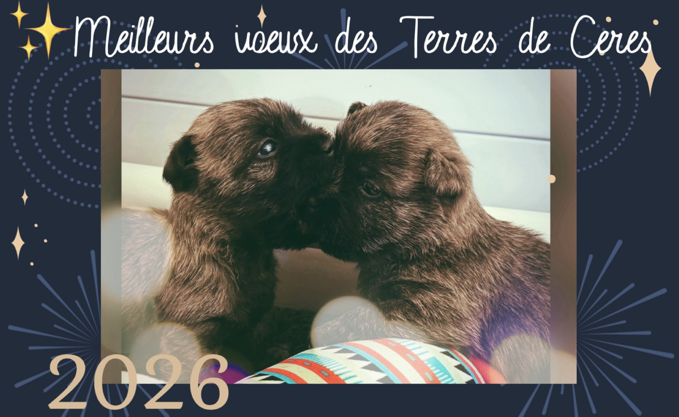 Bonne année 2026 ! 🍾✨