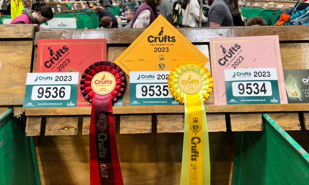 Des résultats magnifiques à CRUFTS 2023 !! 